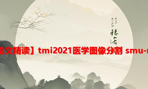 【论文精读】TMI2021医学图像分割 SMU-Net